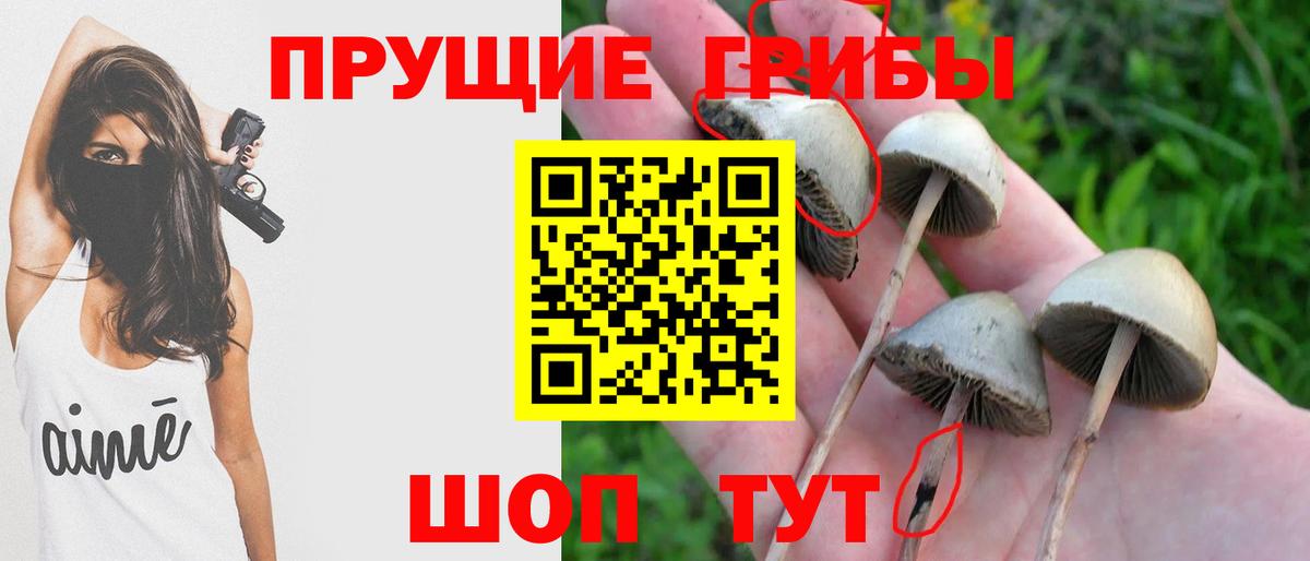 Меф мяу мяу Сергиев Посад