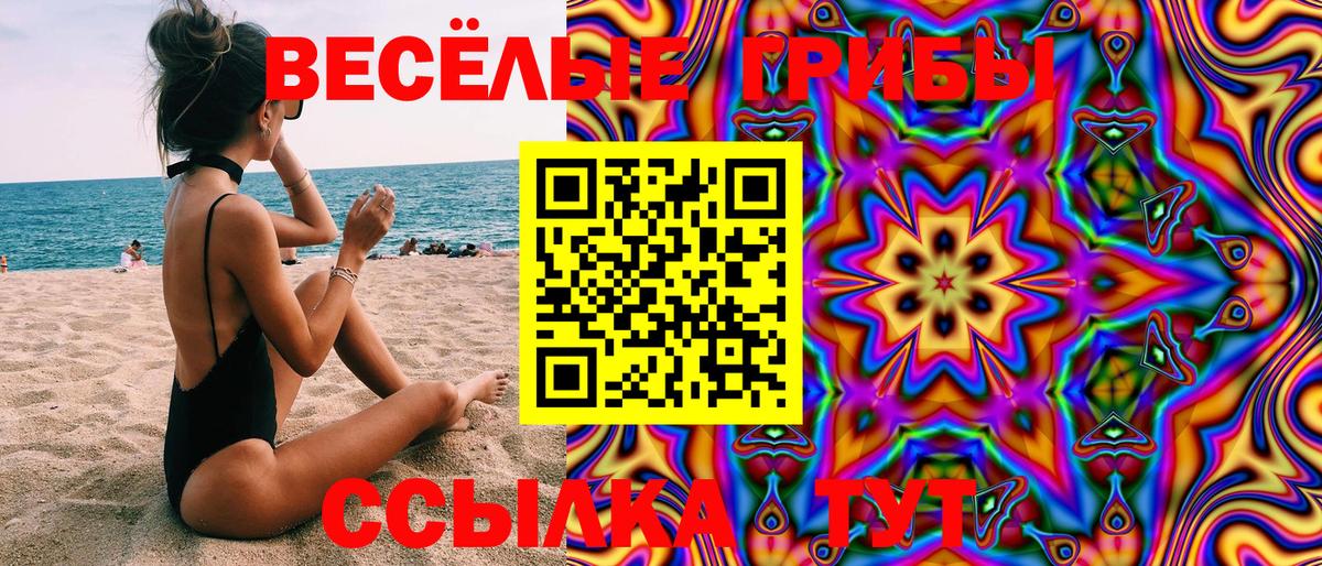Сергиев Посад  Галлюциногенные грибы GOLDEN TEACHER  купить   Вход с VPN 